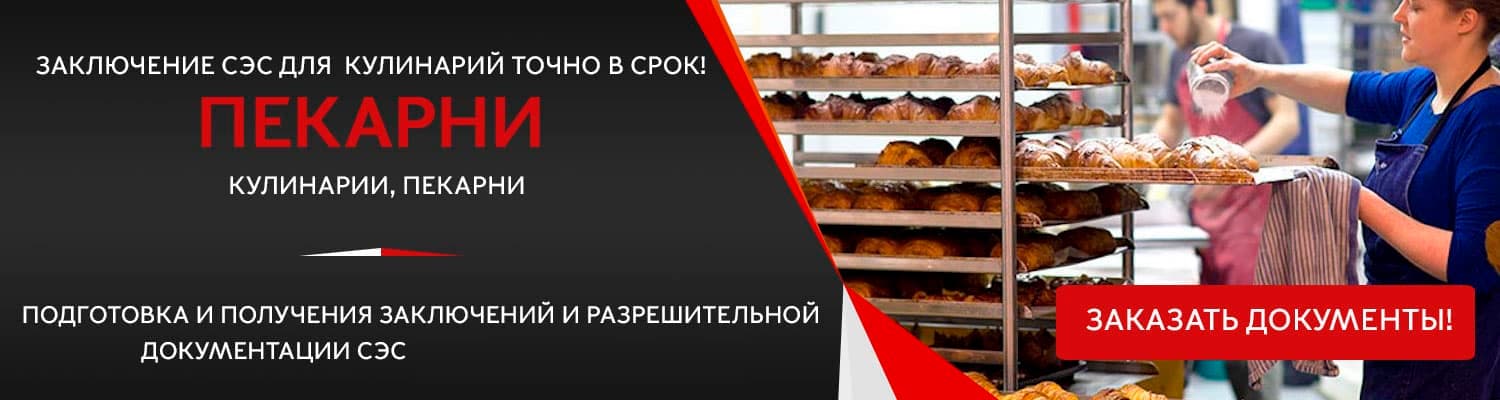 Документы для открытия пекарни в Домодедово